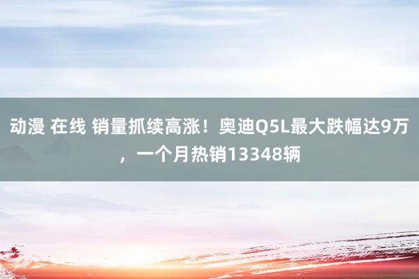 动漫 在线 销量抓续高涨！奥迪Q5L最大跌幅达9万，一个月热销13348辆