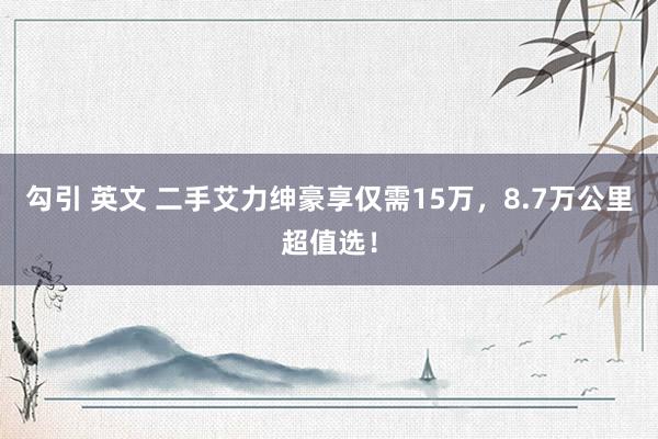 勾引 英文 二手艾力绅豪享仅需15万，8.7万公里超值选！