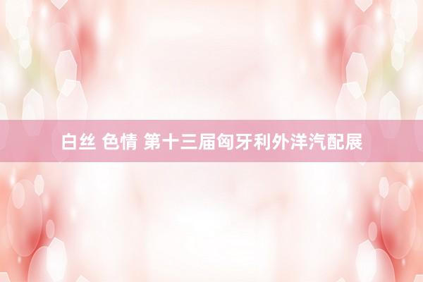 白丝 色情 第十三届匈牙利外洋汽配展