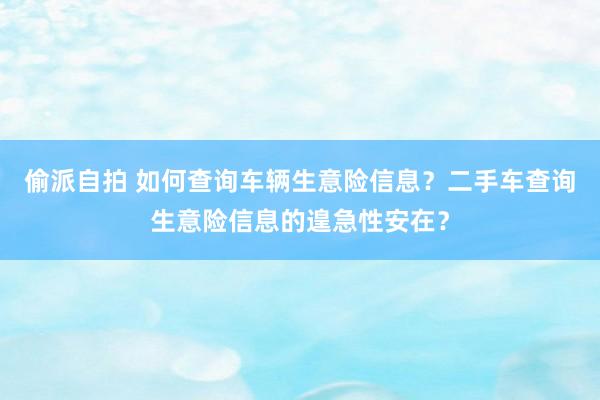 偷派自拍 如何查询车辆生意险信息？二手车查询生意险信息的遑急性安在？