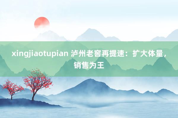 xingjiaotupian 泸州老窖再提速：扩大体量，销售为王