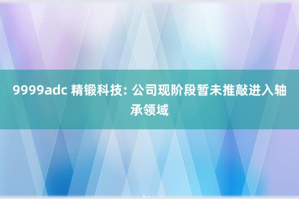 9999adc 精锻科技: 公司现阶段暂未推敲进入轴承领域