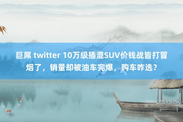 巨屌 twitter 10万级插混SUV价钱战皆打冒烟了，销量却被油车完爆，购车咋选？