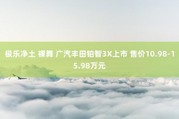极乐净土 裸舞 广汽丰田铂智3X上市 售价10.98-15.98万元